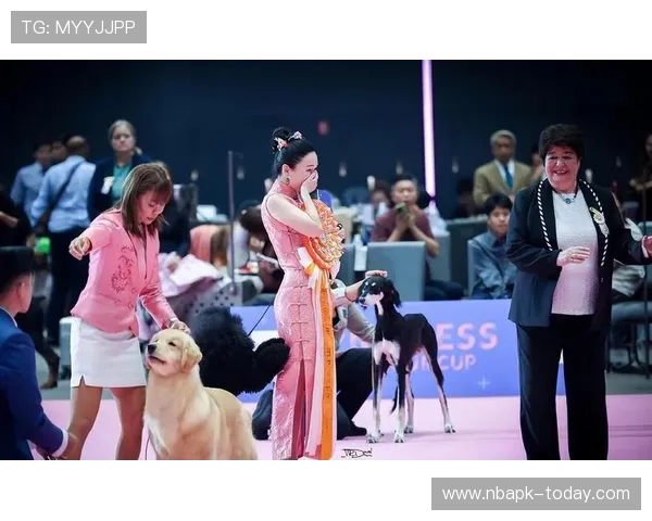 豪门导航网提供最权威的豪门新闻报道，满足你对豪门生活和明星八卦的深度关注